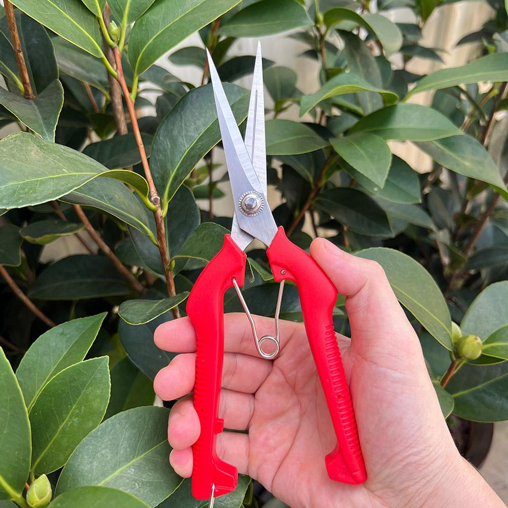 Gardening Tools Basic - Tijeras de Podar Profesionales para Jardín,
