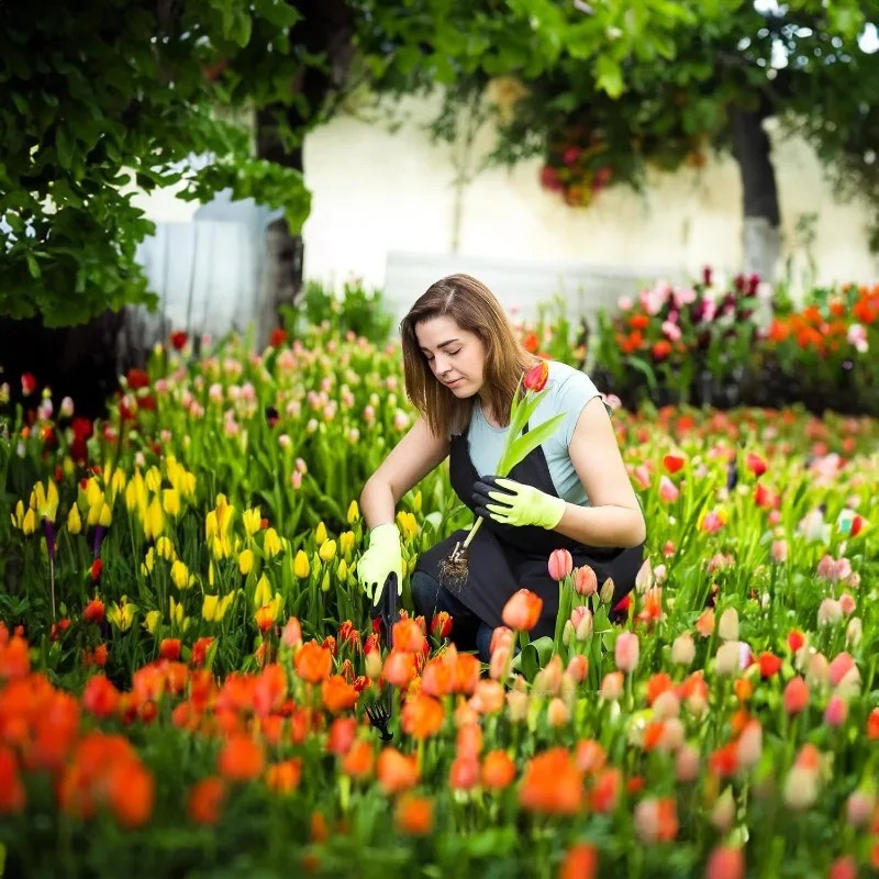 Rastrillo de jardín 2 en 1, he - Gardening Tools Spade reseña y precio