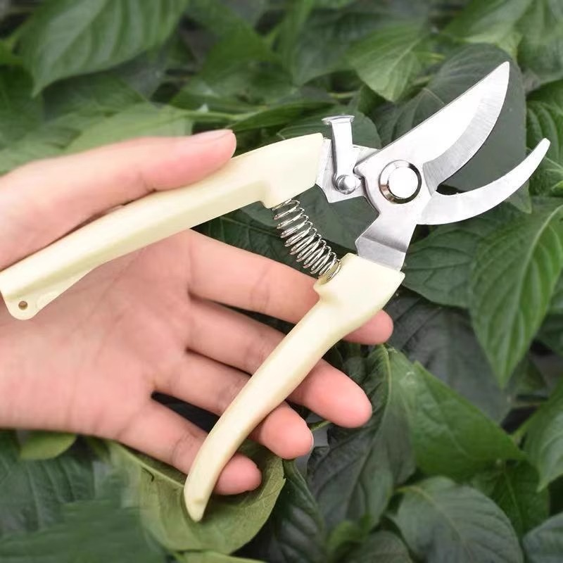 Tijeras de Podar Eléctricas pa - Gardening Tools Pink reseña y precio