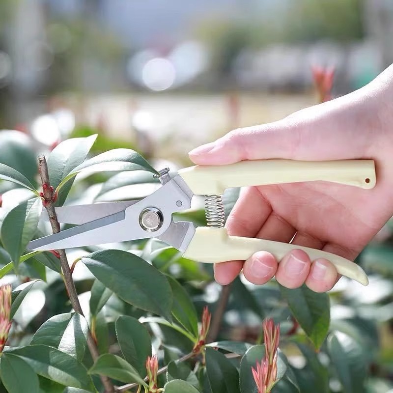 Tijeras de Podar Eléctricas pa - Gardening Tools Pink reseña y precio