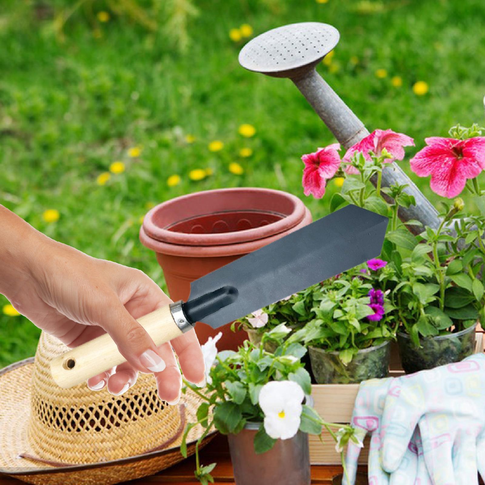 Herramienta de excavación de p - Gardening Tools Spade reseña y precio