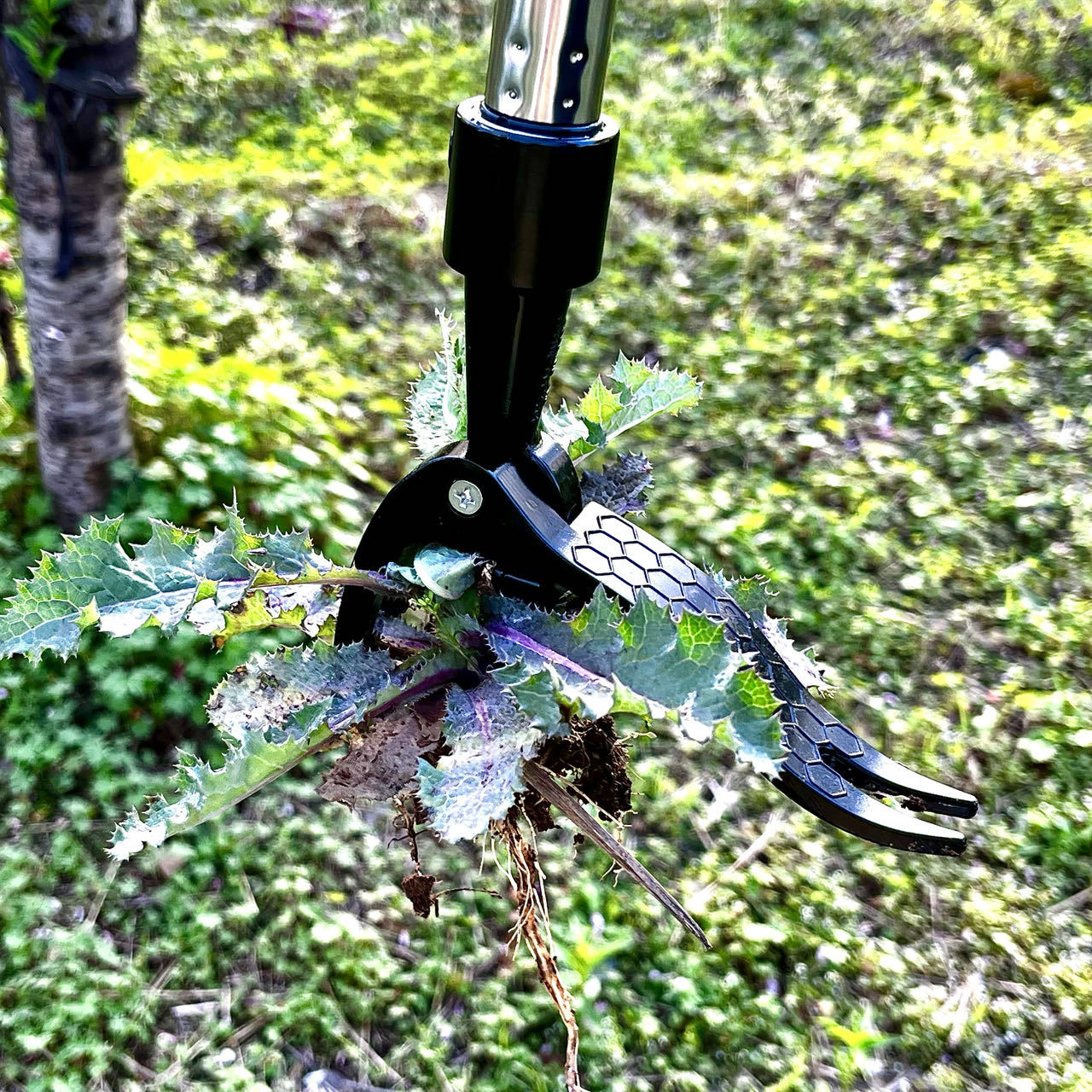 Extractor de malas hierbas de  - Gardening Tools Needed reseña y precio