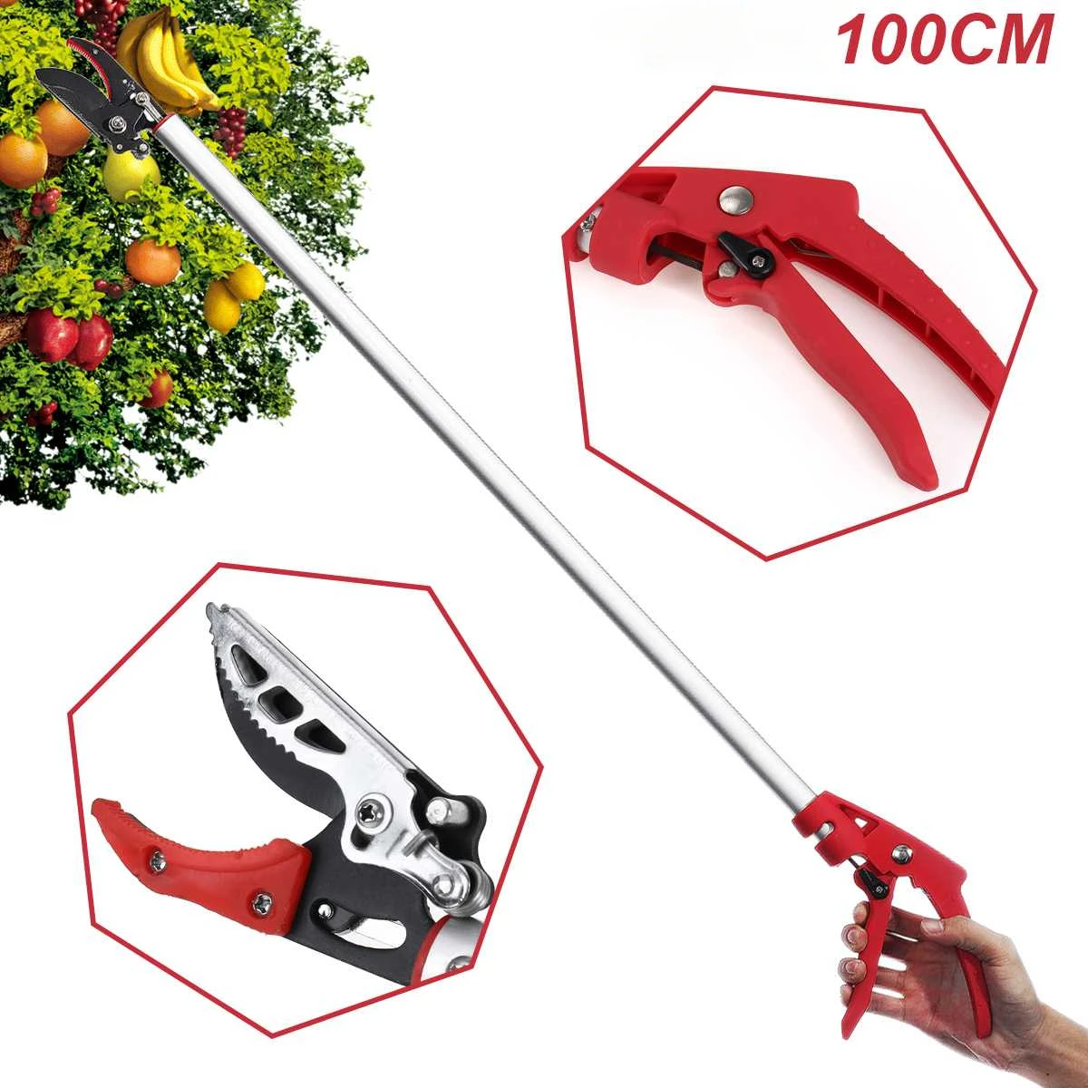 Tijeras de podar árboles de ja - Gardening Tools Long Handle reseña y precio