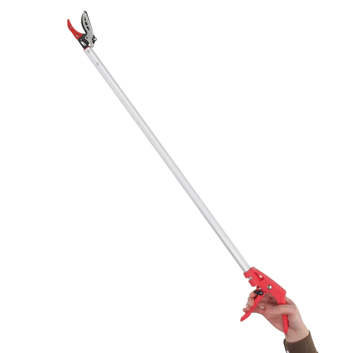 Tijeras de podar árboles de ja - Gardening Tools Long Handle reseña y precio