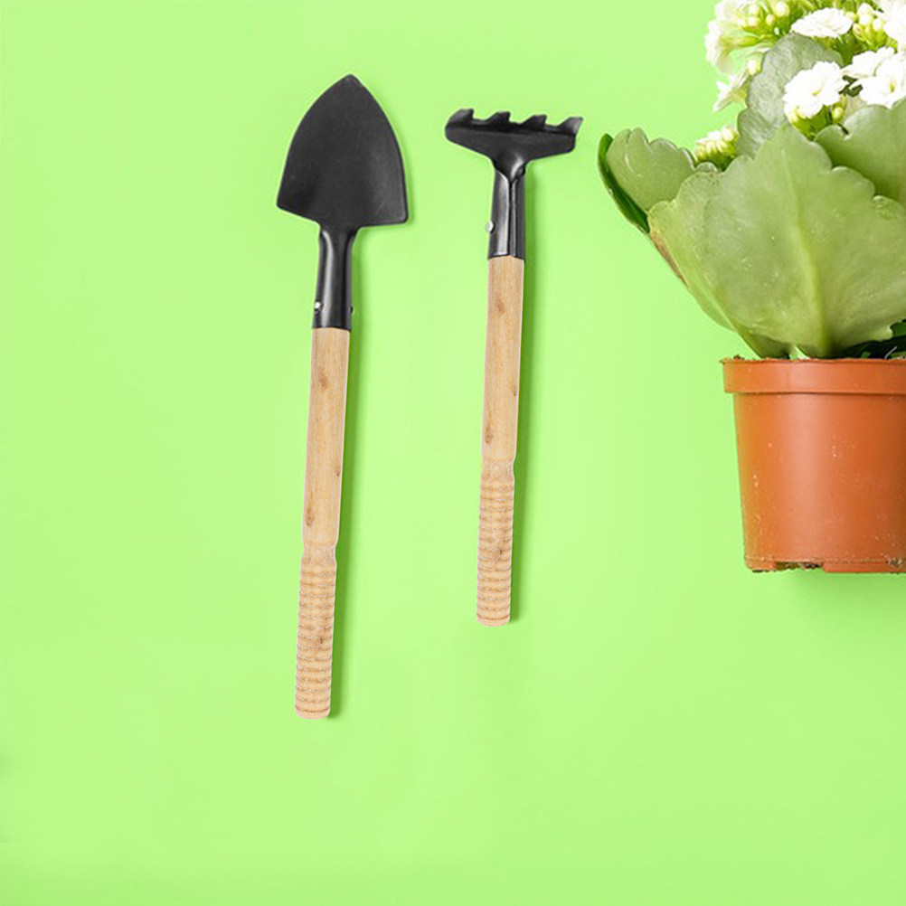 Juego de 5 mangos de repuesto  - Gardening Tools Spade reseña y precio