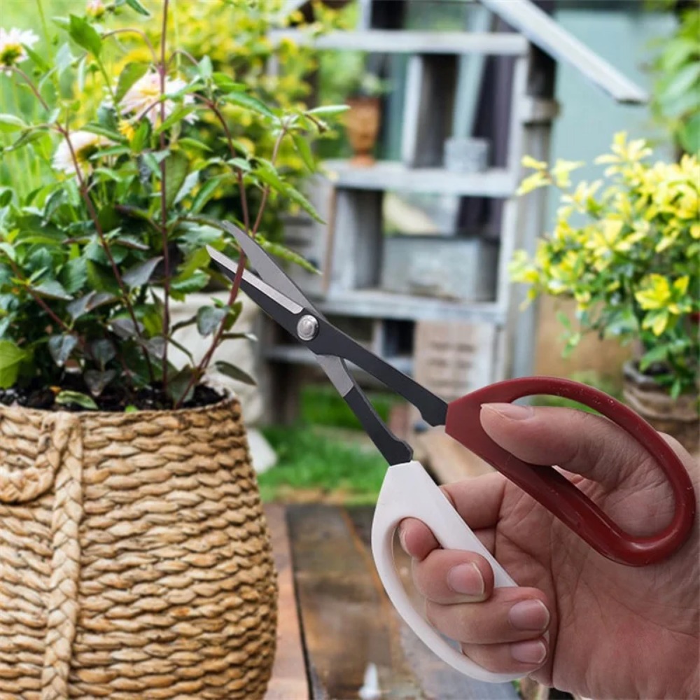 Herramienta para bonsái, tijer - Gardening Tools Long Handle reseña y precio