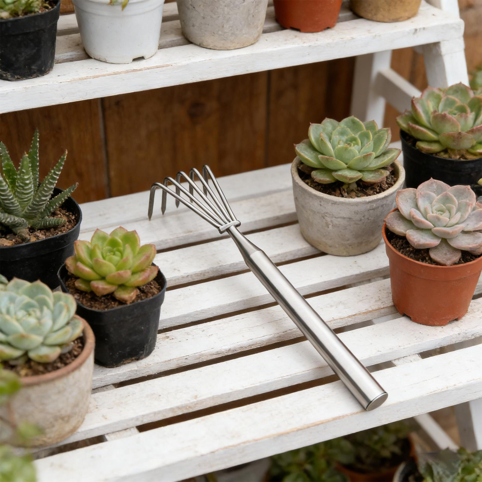 Rastrillo de césped y jardín,  - Gardening Tools Long Handle reseña y precio