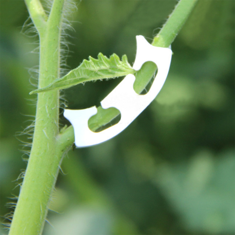 Clips de flejado de vid de tal - Gardening Tools Bundle reseña y precio