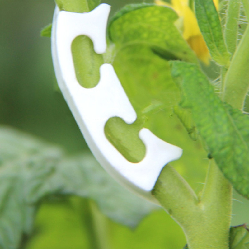 Clips de flejado de vid de tal - Gardening Tools Bundle reseña y precio
