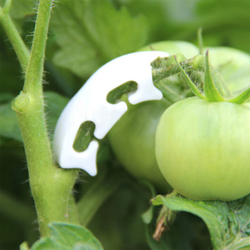 Clips de flejado de vid de tal - Gardening Tools Bundle reseña y precio