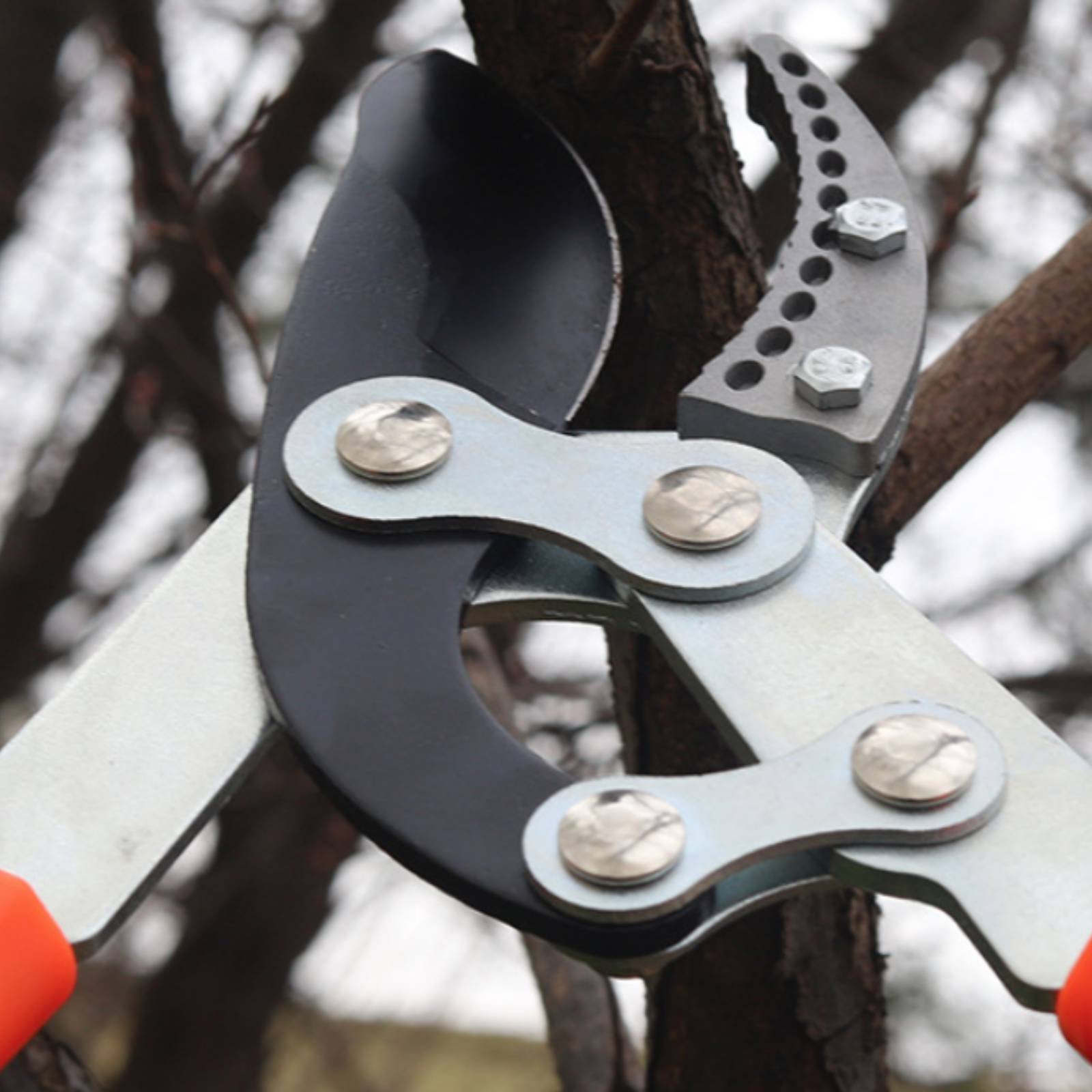 Podadoras telescópicas para ra - Gardening Tools reseña y precio