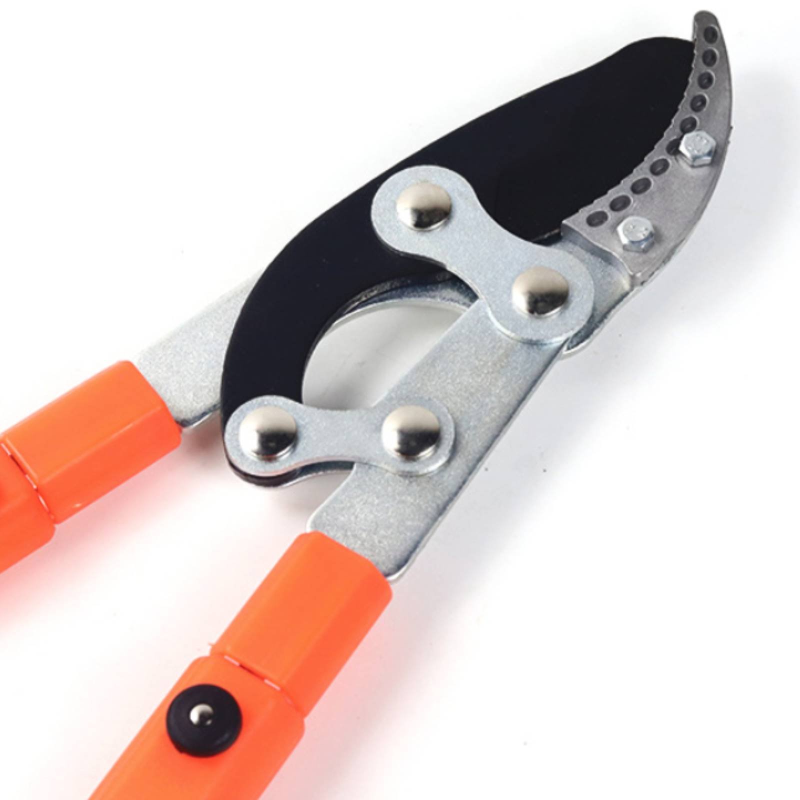 Podadoras telescópicas para ra - Gardening Tools reseña y precio