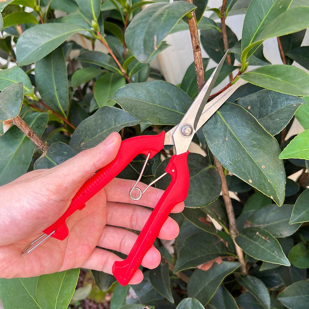 Tijeras de Podar Profesionales - Gardening Tools Basic reseña y precio