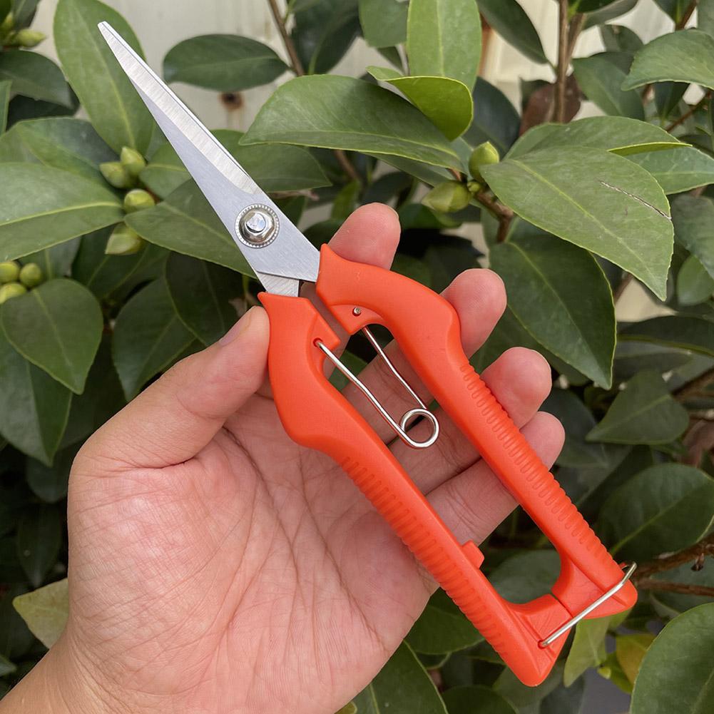 Tijeras de Podar Profesionales - Gardening Tools Basic reseña y precio
