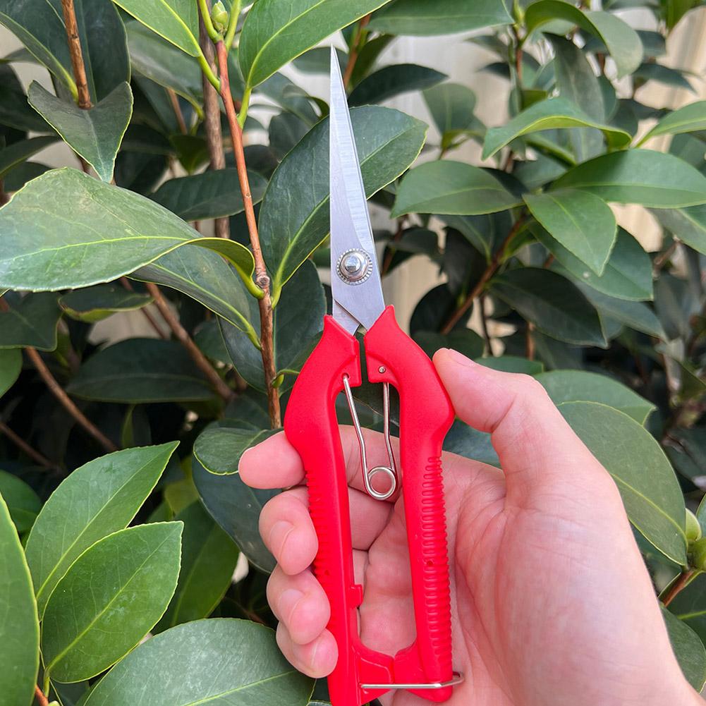 Tijeras de Podar Profesionales - Gardening Tools Basic reseña y precio