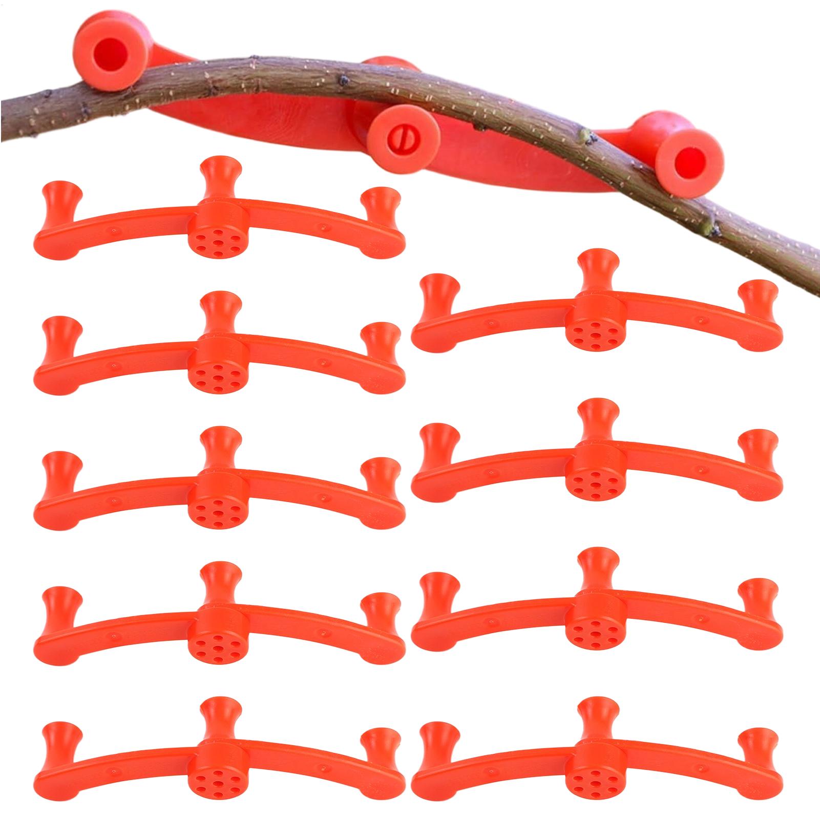 10 clips de entrenamiento para - Gardening Tools Lowes reseña y precio