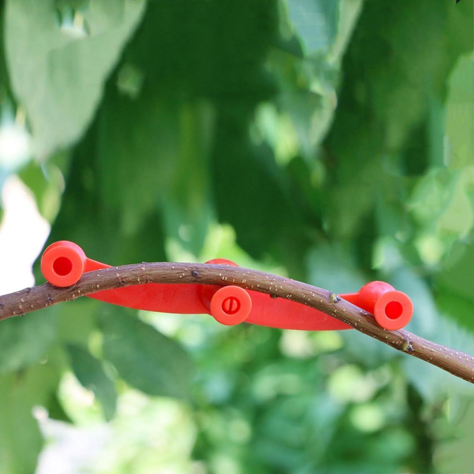 10 clips de entrenamiento para - Gardening Tools Lowes reseña y precio