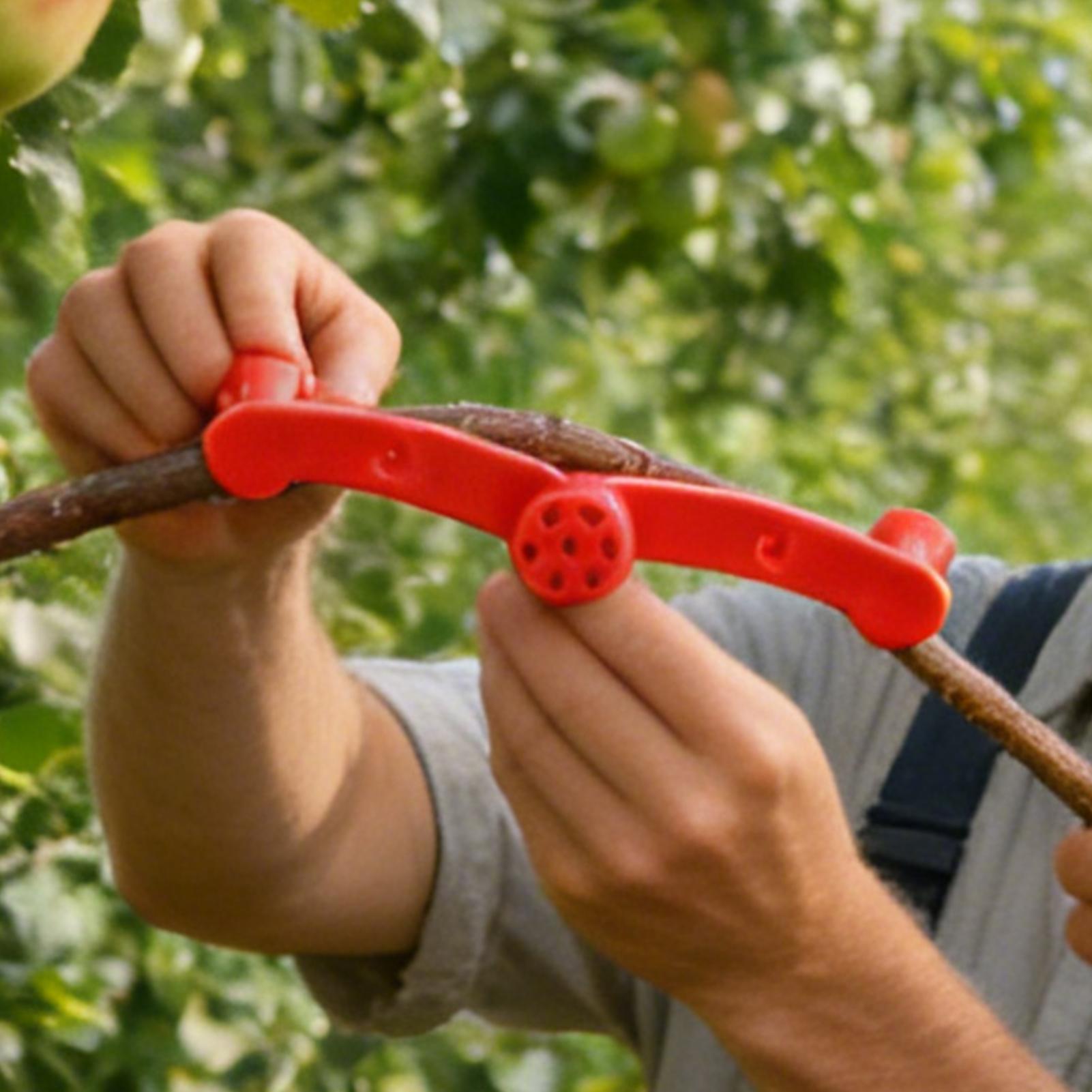 10 clips de entrenamiento para - Gardening Tools Lowes reseña y precio