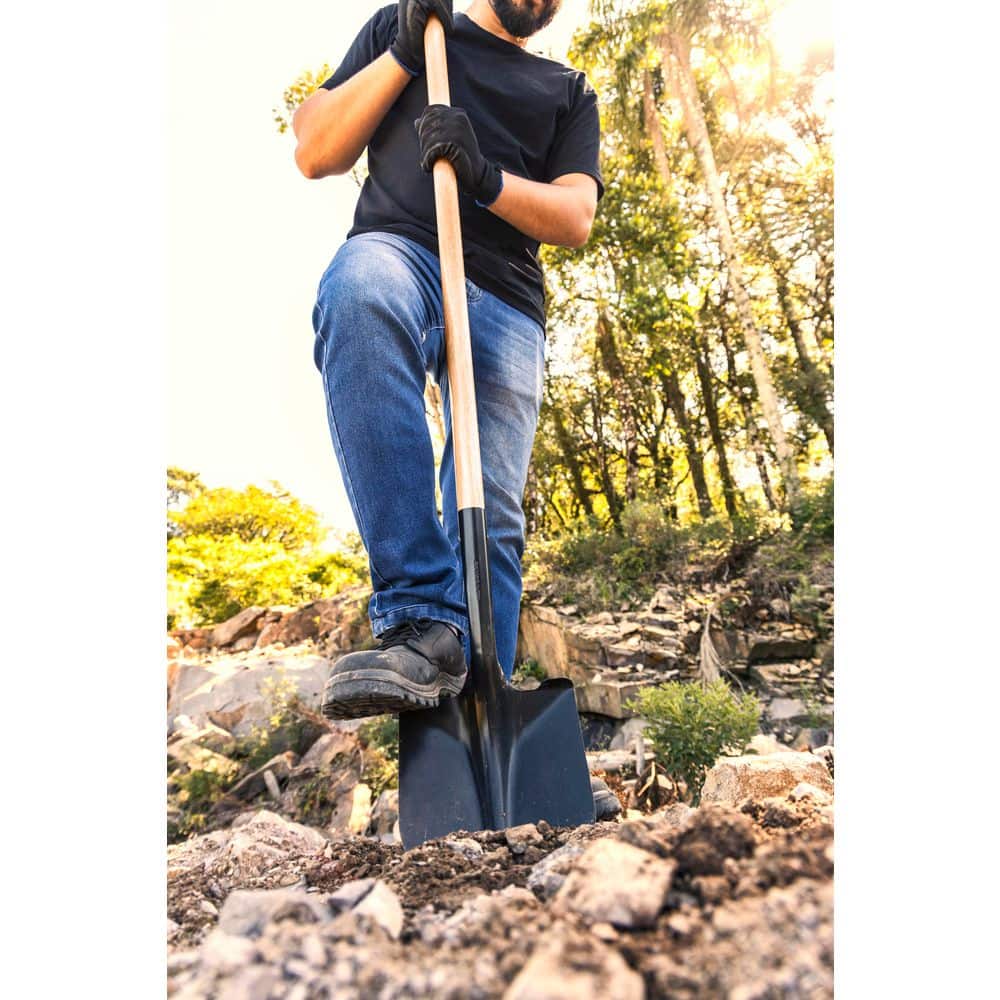 Pala de Jardín de Acero al Car - Gardening Tools Long Handle reseña y precio