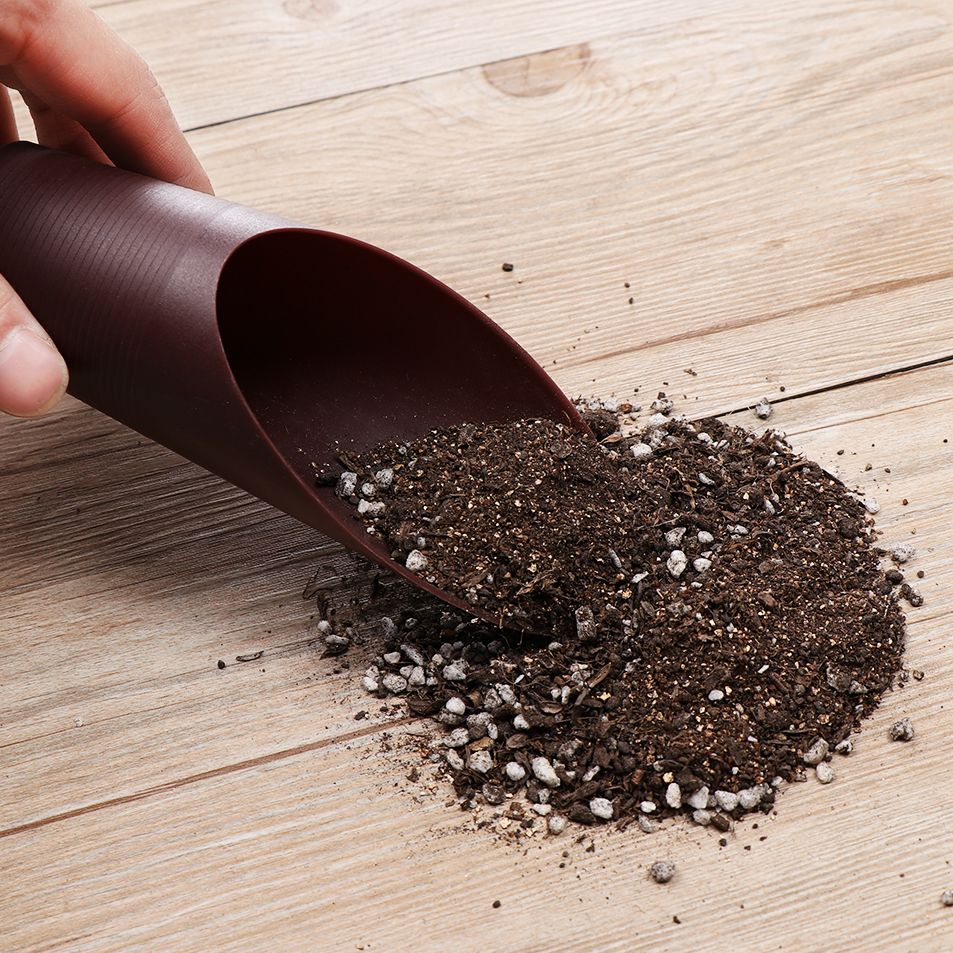 Pala de suelo de plástico para - Gardening Tools Spade reseña y precio